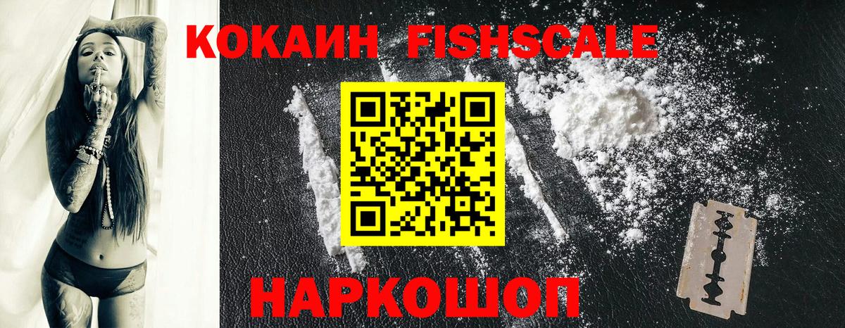 COCAIN Fish Scale Зима