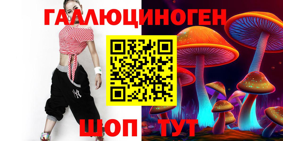 Галлюциногенные грибы Cubensis  Вход с VPN  Зима 